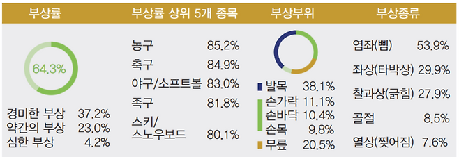2019 스포츠안전사고 실태조사. 문화체육관광부
