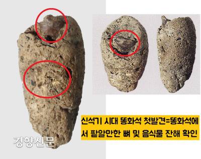 비봉리에서 찾아낸 똥화석. 처음 발견한 신석기인의 똥화석이다. 안에 뼈와 음식물의 잔해가 그대로 남아있다.|국립김해박물관 제공