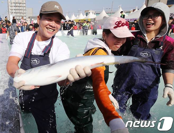 제주특별자치도는 오는 26일부터 12월25일까지 한달 간 서귀포시 대정읍 모슬포항 일원에서 '제22회 최남단 방어축제'를 연다고 22일 밝혔다. 제주 서귀포시 대정읍 모슬포항 일원에서 열린 ‘최남단 방어축제’에서 참가자들이 방어맨손잡기 체험을 하고 있다.2018.11.29/뉴스1 ⓒ News1 DB