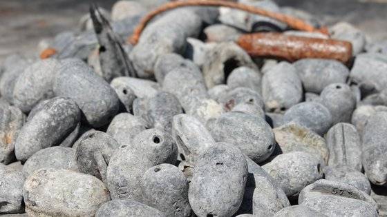 거문도 수중에서 수거한 납 봉돌들. 국립공원을지키는시민의모임