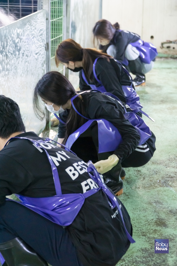 한국장애인도우미견협회에서 봉사활동하는 펫트리움 임직원 모습. ⓒ펫트리움