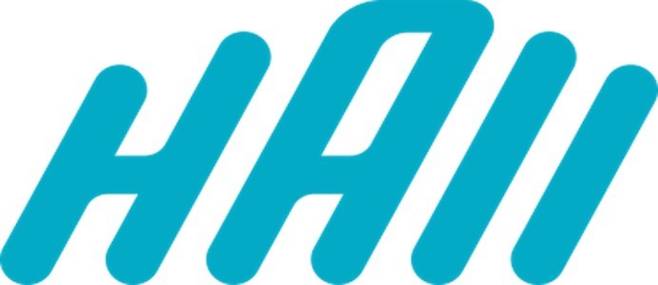 디지털치료제 전문기업 하이(HAII) CI