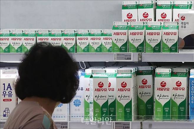 서울우유가 우유 원료인 원유의 구매가격을 인상한 가운데 18일 오전 서울 시내의 대형마트에서 한 시민이 우유를 고르고 있다. ⓒ데일리안 홍금표 기자