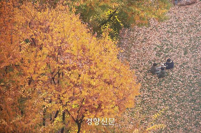 서울의 아침 기온이 올가을 들어 처음으로 영하권으로 떨어질 것이란 예보가 나왔던 지난 3일 서울 세종로에 떨어진 낙엽 위에서 아이들이 뛰놀고 있다. 이준헌 기자