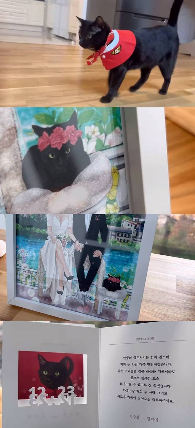 Park Soo-hong released a video on his Cat-only YouTube channel Black Cat Dahong on the 24th, titled Suda Hong!Park Soo-hong unveiled a wedding ceremony with the name of himself and bride-to-be Kim Dae-yee through the video. Park Soo-hong will be holding a wedding ceremony at 6:00 pm on December 23rd.He said, Hello, everyone. I wanted to tell you this news first, he said. We have become more solid as we have been through the hard times of our lives.For those of us who have suffered the same difficulties, I will live well so that we can show happiness in the future. Please bless Dahong, the two of us, and the new family. Thank you. Park Soo-hong has released some of the scenery of the honeymoon house through the video along with his wedding invitations.Park Soo-hong and his wifes newly-married house had Park Soo-hong and his wife sitting in a tuxedo, a wedding dress, holding hands, and a picture frame sitting next to Dahongi. There was a dedicated space for Dahongi with a sign saying Welcome to DAHONG world.Park Soo-hong showed Dahong lovingly touching and playing with him, along with a cut of his and his wifes Wedding album.The two people in the Wedding album seemed to be drawing a happy future by looking at each other in Korean traditional clothing.Meanwhile, Park Soo-hong completed a marriage report in July last year with his non-celebrity wife, who is 23 years younger.Park Soo-hong filed a complaint in April 2021, claiming that his brother and his wife embezzled corporate funds and used the performance fee for personal living expenses, and said, The amount they embezzled amounted to 11.6 billion won.While he is currently undergoing a tough legal battle with his brother, there is a lot of cheering for the wedding ceremony with bride-to-be.