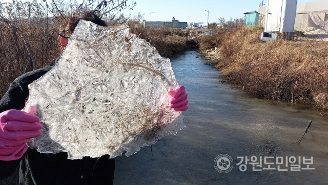 ▲ 30일 한파경보가 내려진 철원군 갈말읍의 농업용 저류지에 얼음이 꽁꽁 얼어 맹추위를 실감케 하고 있다.