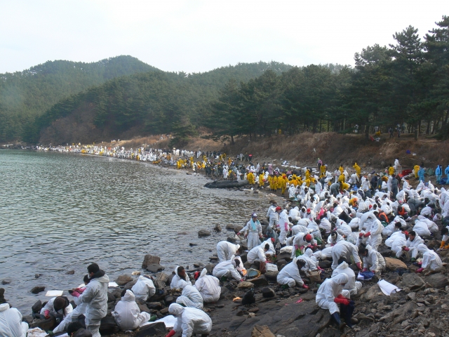 한국교회 성도들이 2007년 12월 서해안 기름유출 현장에서 기름띠 제거 작업을 벌이고 있다. 국민일보DB