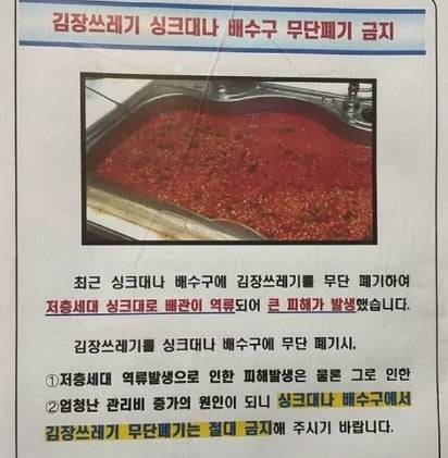 김장을 담근 뒤 싱크대 하수구로 김장 쓰레기를 버리면서 하수구가 막혀 피해를 봤다는 글. / 사진=온라인 커뮤니티