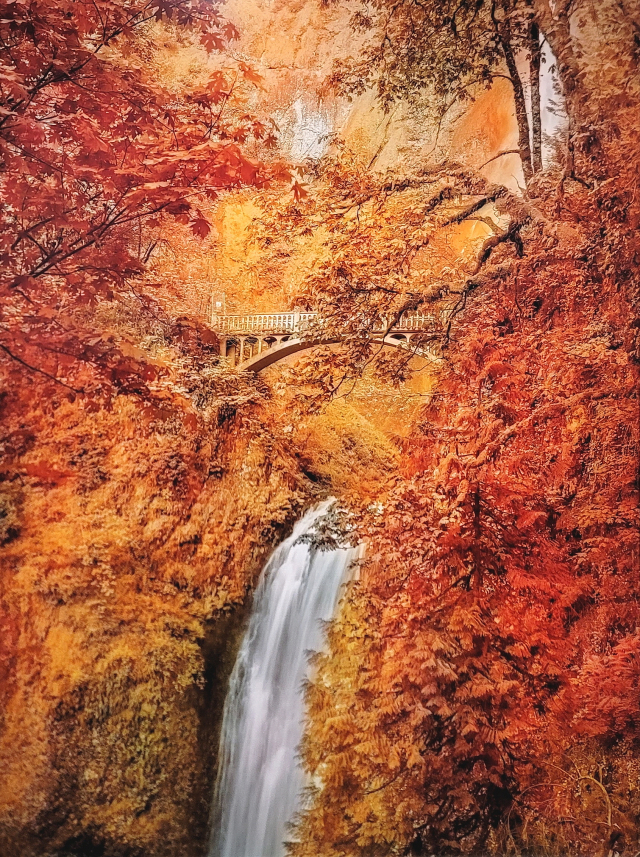 트레버 페글렌의 'Multnomah Falls Deep Semantic Image Segments'. 작가가 촬영한 미국 멀트노마 폭포의 흑백사진에 인공지능이 색을 입힌 작품이다. /사진제공=페이스갤러리