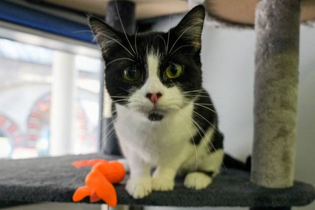 로이터연합뉴스