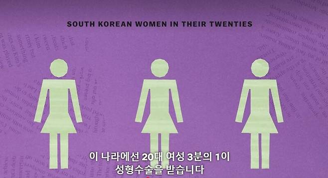 넷플릭스 다큐멘터리 <익스플레인: 세계를 해설하다> 성형 수술 편(2021) 화면 갈무리.