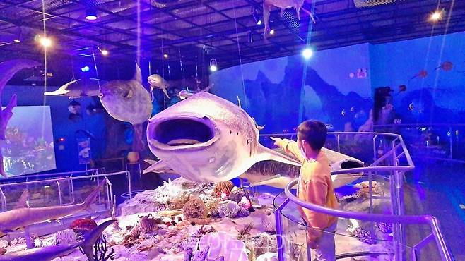 땅끝해양자연사박물관