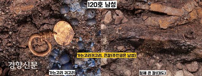 신라 고분에서 ‘가는고리 귀고리’와 ‘큰칼(대도)’를 착장하면 ‘남성’으로 추정된다. 120호 주인공 역시 ‘남성’으로 특정할 수 있다.|신라문화유산연구원 제공
