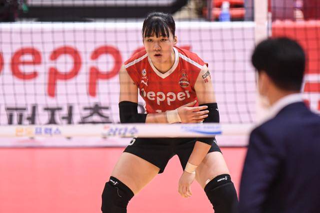 리시브 준비를 하는 이한비. KOVO 제공