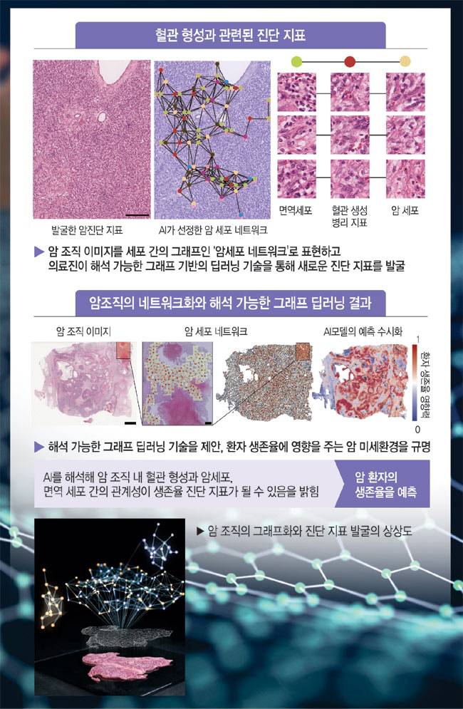 그래픽 = 김유종 기자