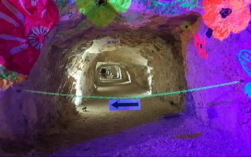 한 때 아시아 최대 광산이었던 활옥동굴은 일부가 관광지로 개발돼 개방되고 있다. 제보자 A씨 제공
