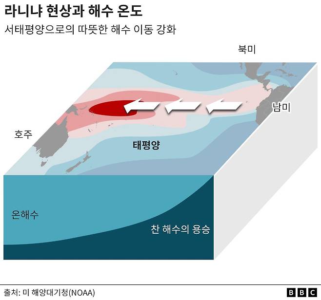 라니냐 현상이 일어나면 아시아 근처 서태평양에 온수가 집중돼 동태평양에선 차가운 해수가 강하게 용승한다