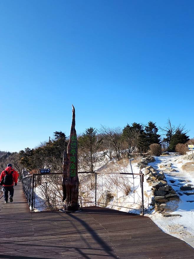 천년주목숲길.