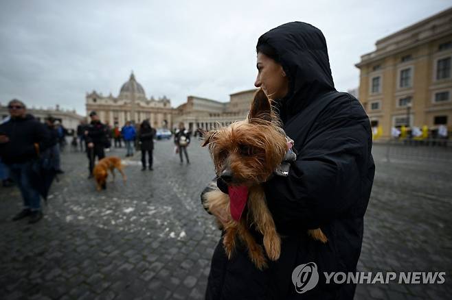 신의 축복 기다리는 반려동물 (바티칸 AFP=연합뉴스) 동물 수호성인인 성 안토니오 아빠스의 축일은 17일(현지시간) 바티칸의 성 베드로 광장에서 한 여성이 반려견을 품에 안고 있다. 2023.01.17 photo@yna.co.kr