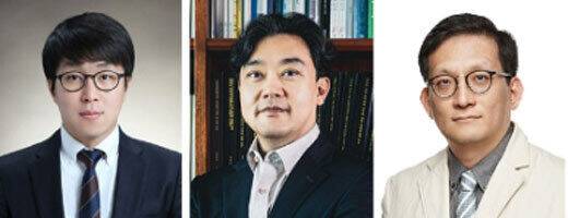 왼쪽부터 영남대 김창섭 교수, 포스텍 차형준 교수, 가톨릭대 이동건 교수. 영남대학교 제공
