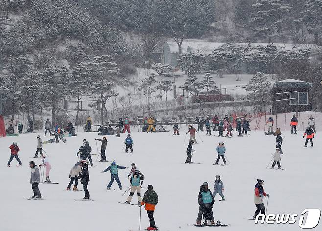 스키와 보드를 타며 겨울을 만끽하는 시민들.(자료사진) ⓒ News1