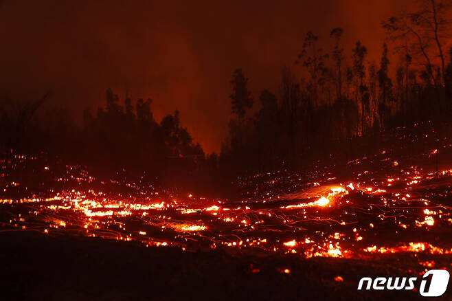 4일(현지시간) 칠레 아라우까니아의 푸렌에서 산불로 4명이 숨졌다. 극심한 폭염으로 인한 산불 피해를 수습하기 위해 칠레 당국은 3일 남부지역에 재난 상태를 선포했다. ⓒ AFP=뉴스1 ⓒ News1 권진영 기자