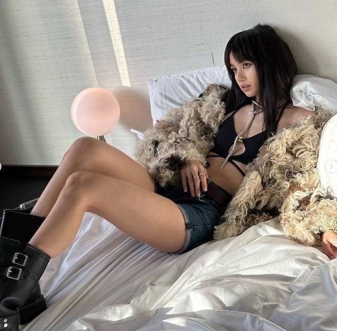 리사. 사진|리사SNS