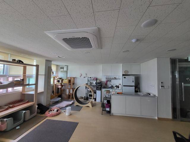 지난해 9월 광명시 하안동에 문을 연 재개발 지역 고양이를 위한 쉼터인 '길동무'. 광명길고양이친구들 제공