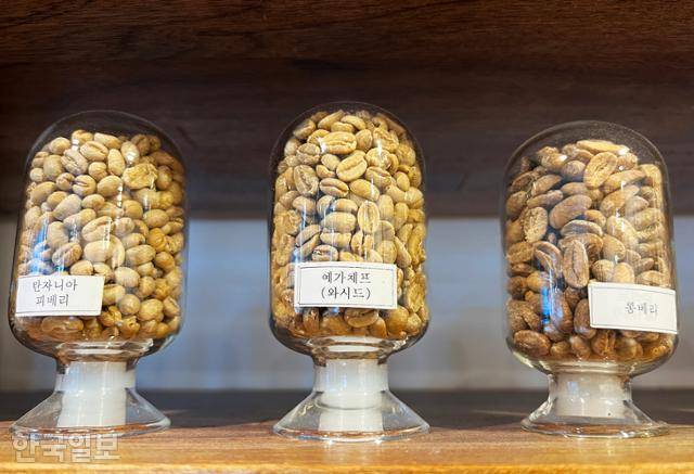 '명주사랑채'에 전시된 커피 콩. 강릉의 커피 역사를 살필 수 있는 곳이다.