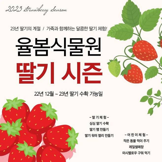 율봄식물원 딸기시즌