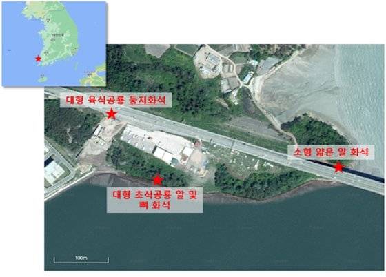 지난 19일 전남 신안군에서 추가로 발견된 초식공룡알의 위치도. 프리랜서 장정필