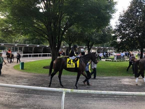 한국마사회의 자체 유전자기술 분석 프로그램 케이닉스(K-Nicks)를 통해 선발한 ‘미스터크로우’가 미국 뉴욕주 사라토가 경마장에서 훈련하고 있는 모습. 한국마사회 제공