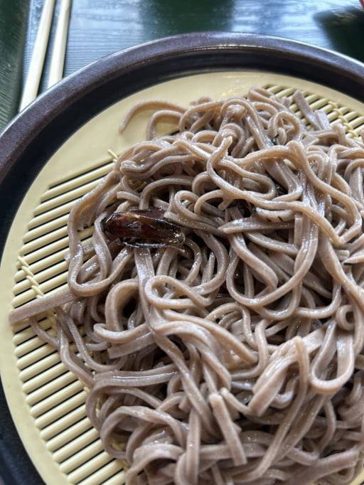 오사카 도심 온천시설 '가미가타 온천 잇큐(上方温泉一休)' 내 레스토랑에서 나온 바퀴벌레 소바. (사진=정모씨 제공)
