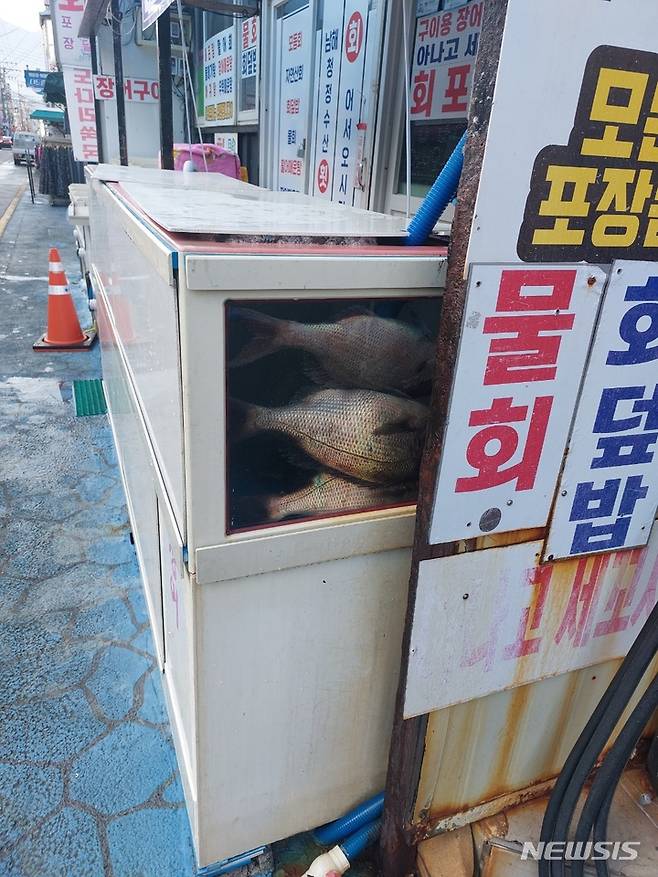 수족관 속 물고기가 전부 폐사한 모습. /사진=뉴시스