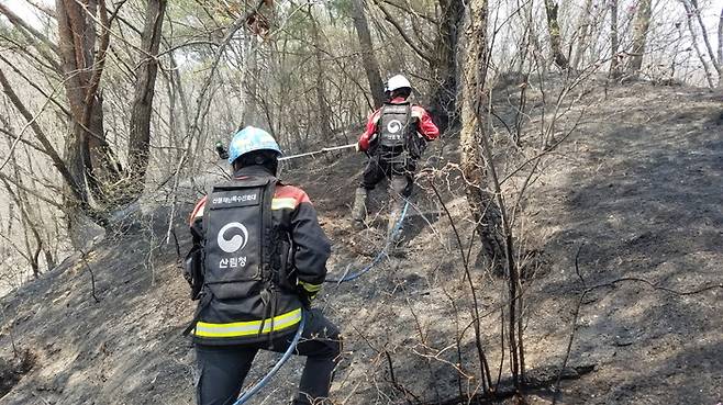 9일 밤 합천 산불이 재발화해 산림당국이 10시간 만에  주불을 잡았다.  산림청 제공