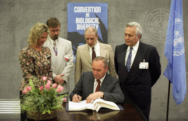 1992년 유엔환경 총회에서 바젤 협약 코디네이터가 지켜보는 가운데 생물다양성협약에 서명하는 크로아티아 대표단