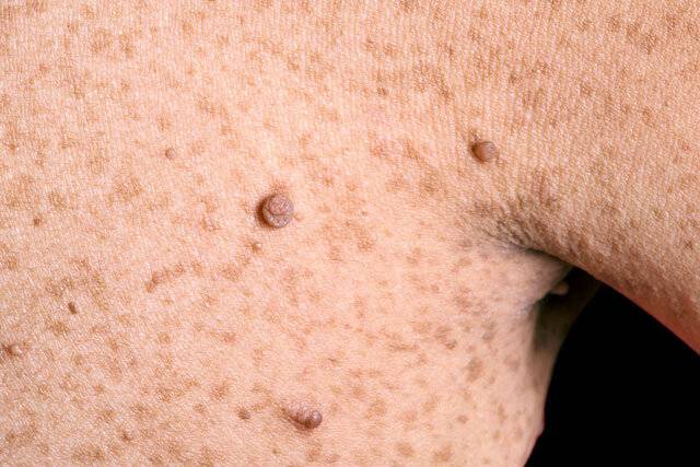 클립아트코리아 제공