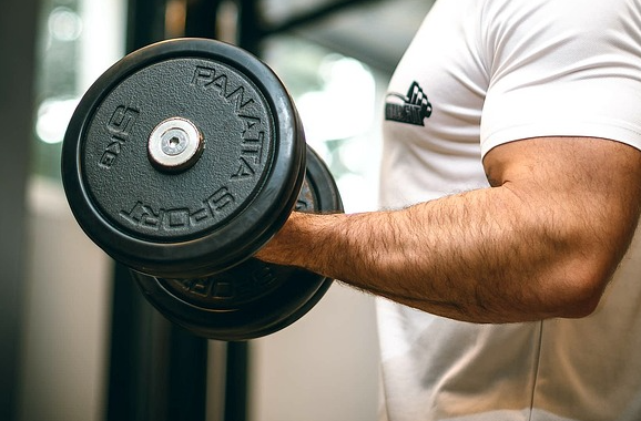 근력 운동. (해당 사진은 기사 내용과 무관합니다) /사진=픽사베이(Pixabay)