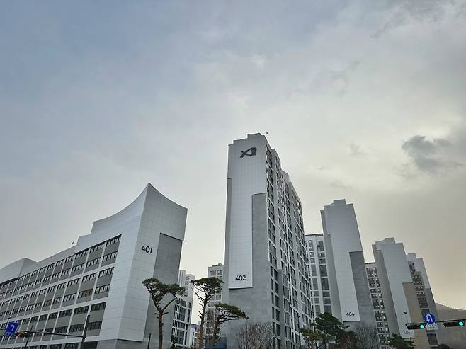 대단지 입주가 진행 중인 서울 강남구 개포동 ‘개포자이프레지던스’ 모습. 신혜원 기자