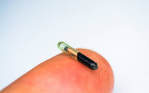 쌀알 크기의 동물등록칩을 조회하면 견주의 연락처, 주소 등을 확인할 수 있다. 수락산 사건의 경우 폼피츠의 등록칩을 조회한 결과, 전견주가 파양한 뒤 해당 개를 번식업을 준비하던 A씨에게 넘겼다는 사실을 알 수 있었다.