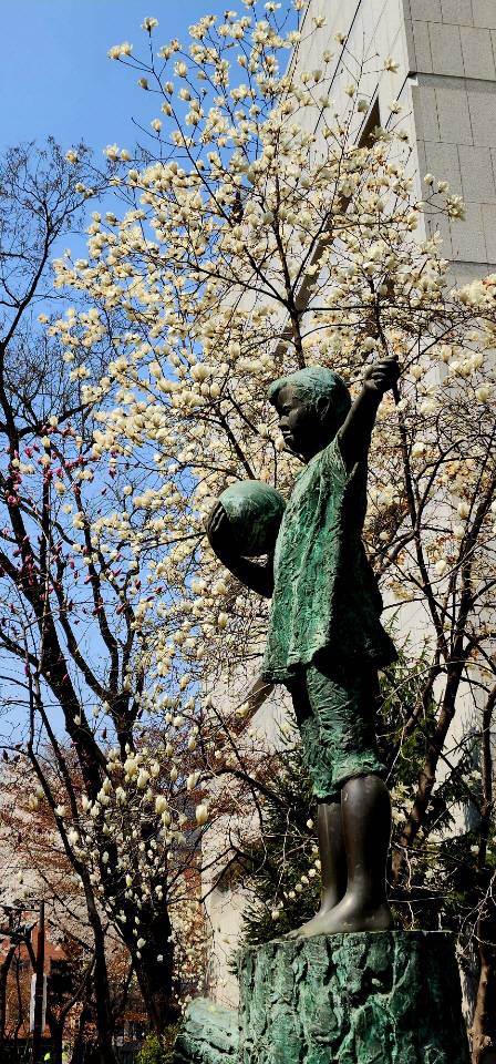 백목련과 자목련이 함께 핀 풍경. 서울 중구 정동 주한러시아대사관 인근. 2023년 3월29일 촬영