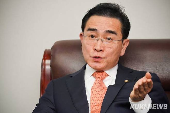 태영호 국민의힘 최고위원. 사진=임형택 기자