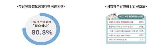 나이 확인에 대한 사업자 부담완화’ 국민의견수렴 결과. 사진 법제처