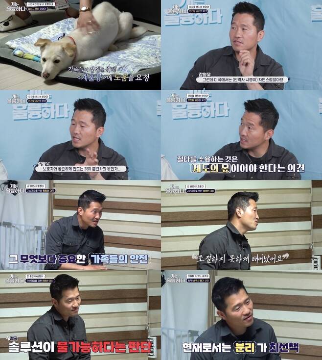 Kang Hyung-wook gave up Pet training.On May 1, KBS 2TV Dogs Are Incredible introduced the story of Pet Hoppang, who shows aggression.On this day, Kang Hyung-wook faced Hoppang, who bites the owners familys face and reveals aggression to other puppies.There were also young children and Grandmas Boy in one house, and Hoppangs occasional nibbles had already led to several accidents.Grandmas Boy said that she, her husband, and her daughters in-laws wanted Pets euthanasia, adding, This is the third time this year. I must have been surprised when my granddaughter was bitten and her blood was running.Hoppangs direct Guardian, daughter and mother, had also been bitten on the face, he said, It was so bad that I could not see well.Since then, he has been bitten by his hand and said, I have my flesh on my teeth.However, when Hoppang did not bite, Hoppang was more charming and affectionate than anyone else. The owner could not easily give up Hoppang.Kang Hyung-wook had a serious face, saying, The US is euthanasia natural, and it is hard to see dogs attacking people, so there is controversy among a trainee.I can not make a decision about the solution easily, saying, Can I train such a child and coexist with my partner? Is that right?Kang Hyung-wook said, If you make bread and make it wrong, you can eat it or throw it away. But if you make a mistake during surgery, people can die. The extent and scope of mistakes are different.Im worried about whether its right to give hope. If I give hope on the air, its over, but they live in that environment, he said.Kang Hyung-wook, who entered the house, immediately overpowered Hoppang, but he could not speak easily to the Guardians and declared his training abandonment.If a family member is bitten by a child, it is a serious situation. I am a trainee and I have a lot of dogs, but I do not like dogs. First, the safety of my mother and children comes first.This child will not be able to control the moment in the future. Kang Hyung-wook said, Even if it is education, it is education only for one person, and behavior does not change.But my son is going to bite, he said. If the Guardian presses and controls, he will do what he has been pressured by his children. He was born not to be bad, but to be unable to control.I was born with sociality, the Guardian shed tears.Kang Hyung-wook said, I hate raising a family in Madang, but this child can move to a house where Madang is and train very slowly. But here we can not do a solution.This is not fa yang. I told him that I had fa yang. If I swear, I will eat it. He said he should send Hoppang to a place other than the present environment.Kang Hyung-wook, Lee Kyung-gyu, and Pak Se-ri were all in place, and Hoppang was encouraged to move to separation and consignment. The owner also struggled with his relatives in Anmyeondo.However, due to unfavorable circumstances at the end of the broadcast, Hoppang still stayed with his family. The owner did his best to change the environment and tried to live together.Meanwhile, Dogs Are Incredible is a program to think about how Pet and people live happily together to create a mature companion animal culture.