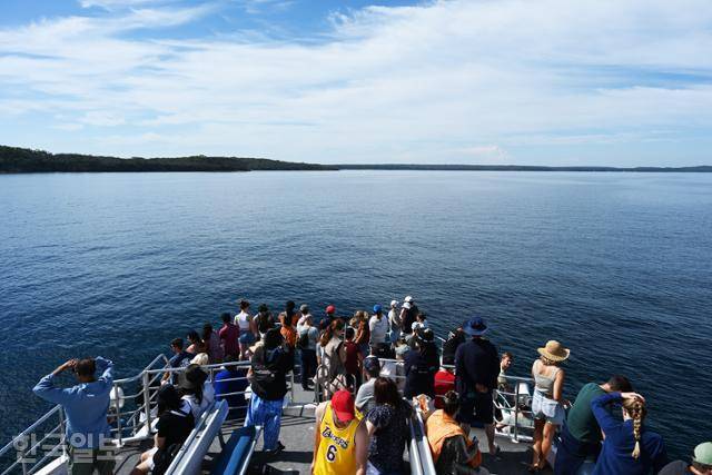 저비스베이의 돌고래 투어. 망망대해에서 고래를 찾아가는 선상 크루즈다.