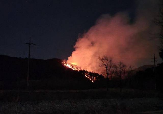 2월 1일 경북 울진군 기성면 야산에서 산불이 났을 때 모습. 이 불로 소방대원 등 인력 186명이 동원돼 밤새 진화 작업을 펼쳤고, 임야 1.4㏊가 탔다. 경북소방본부 제공