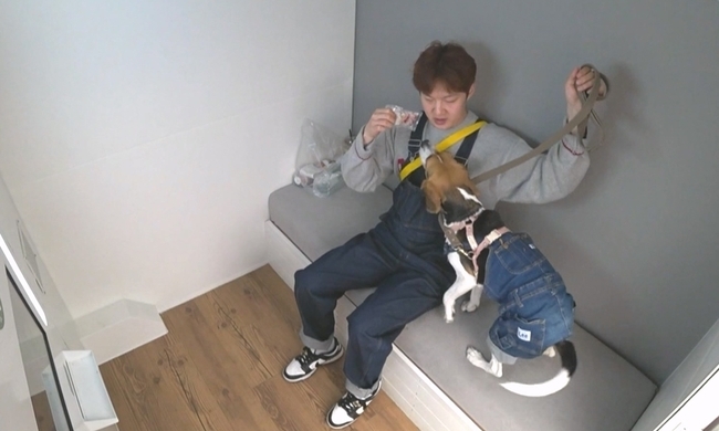 BtoB Lee Chang-sub leaves Pet Copper and Sexual Healing Camping dressed as a suspenders couple.MBC  ⁇ I Live Alone ⁇  (director Huh Hang Kang Ji-hee Park Soo-bin), which airs at 11:10 p.m. on May 5, depicts Lee Chang-sub and Pet Coppers special outing.Earlier, Lee Chang-sub revealed his daily life as a daughter of Pet Beagle Copper.Lee Chang-sub finds his own sexual healing spot, such as a pork cutlet house, Han River, and a jjimjilbang, but when the eyes of others are focused, the power inward aspect of the eyes shakes the audiences sympathy.Lee Chang-sub The Speech on a special outing with Pet Copper to recharge his energyHe liked Camping before he raised Copper, and he is ready to leave for Pet Camping, saying that Camping alone is the best.Lee Chang-sub will be looking at the Rainbow  ⁇   ⁇   ⁇   ⁇   ⁇   ⁇  Jun Hyun-moo, who has packed all kinds of things for emotion, and the pole and pole.His Camping concept is Pragmatism, and The Speech is the end of a simple drink. Lee Chang-sub leaves Copper and Suspender Womens Couple and leaves Sexual Healing Camping instead of simplifying his burden.The problem is that Pet Copper, who is in a puberty, does not cooperate easily. Copper refuses to feed Lee Chang-sub from the morning and eats snacks and burns dog dad Lee Chang-subs child.