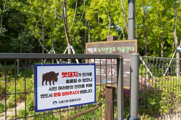 서울 도봉구가 펜스에 설치한 멧돼지 출몰 지역 안내 표지판. 도봉구 제공