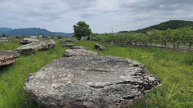 전남 영암군 너른 들판에 만들어진 고인돌. 농경시대 사람들은 힘을 모아 고인돌을 만들고 제사를 지내며 풍년을 기원했다. 강인욱 교수 제공