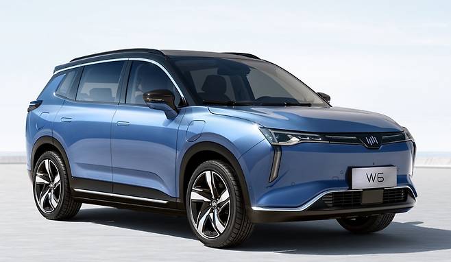 중국 웨이마자동차의 전기차 SUV 모델 W6./웨이마자동차 홈페이지 캡처